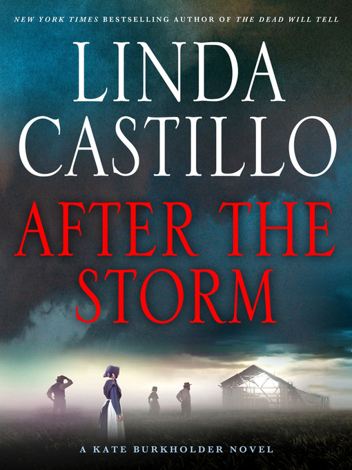 Title details for After the Storm by Linda Castillo - Wait list
